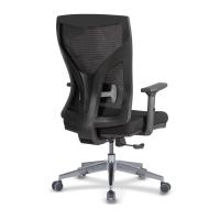 David Çalışma Koltuğu